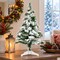 RAHEEV; 2 Ft Snow Flock Artificial Christmas Tree Mini Tabletop Holiday Decor; Category:Christmas Tabletop & Accent Trees; Image:7